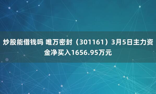 炒股能借钱吗 唯万密封（301161）3月5日主力资金净买入1656.95万元
