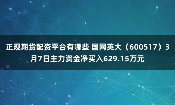 正规期货配资平台有哪些 国网英大（600517）3月7日主力资金净买入629.15万元