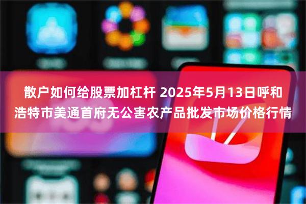 散户如何给股票加杠杆 2025年5月13日呼和浩特市美通首府无公害农产品批发市场价格行情