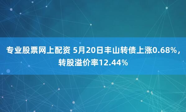 专业股票网上配资 5月20日丰山转债上涨0.68%，转股溢价率12.44%