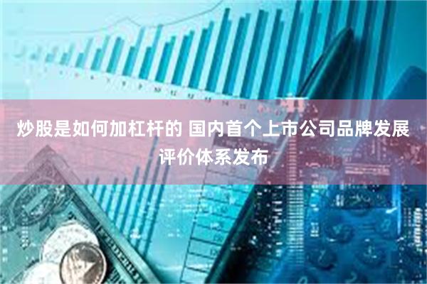 炒股是如何加杠杆的 国内首个上市公司品牌发展评价体系发布