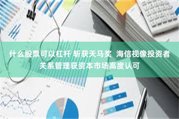 什么股票可以杠杆 斩获天马奖  海信视像投资者关系管理获资本市场高度认可