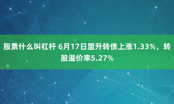 股票什么叫杠杆 6月17日盟升转债上涨1.33%，转股溢价率5.27%