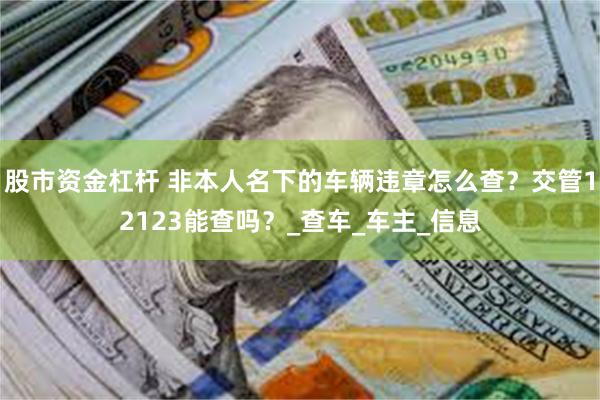 股市资金杠杆 非本人名下的车辆违章怎么查？交管12123能查吗？_查车_车主_信息
