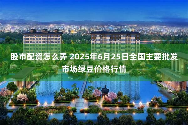 股市配资怎么弄 2025年6月25日全国主要批发市场绿豆价格行情