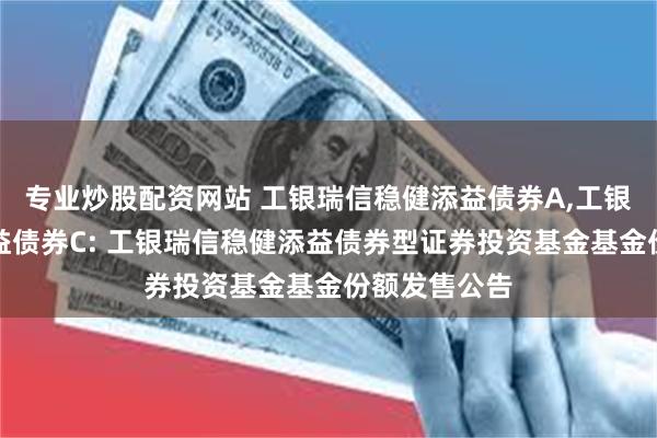 专业炒股配资网站 工银瑞信稳健添益债券A,工银瑞信稳健添益债券C: 工银瑞信稳健添益债券型证券投资基金基金份额发售公告