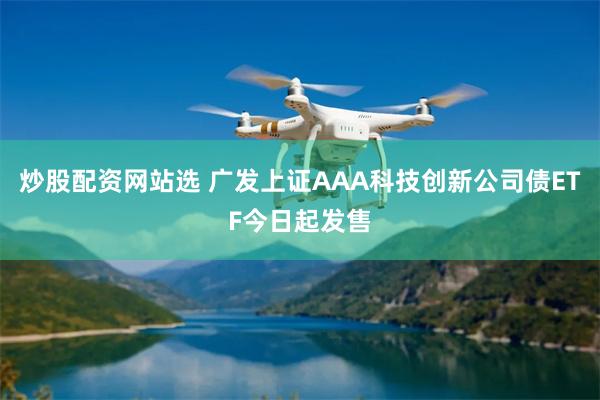 炒股配资网站选 广发上证AAA科技创新公司债ETF今日起发售