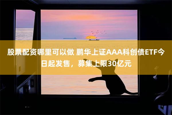 股票配资哪里可以做 鹏华上证AAA科创债ETF今日起发售，募集上限30亿元