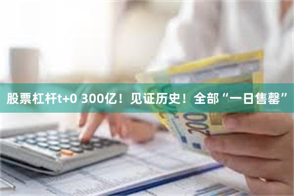 股票杠杆t+0 300亿！见证历史！全部“一日售罄”