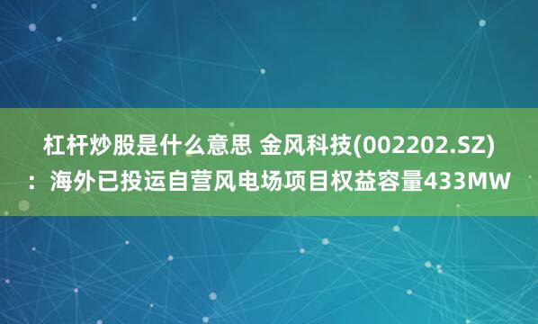 杠杆炒股是什么意思 金风科技(002202.SZ)：海外已投运自营风电场项目权益容量433MW