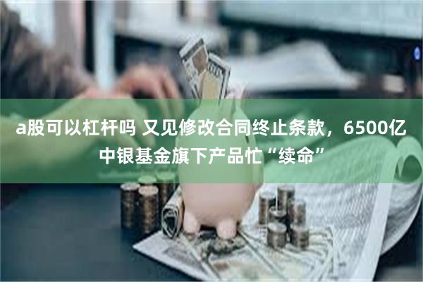 a股可以杠杆吗 又见修改合同终止条款，6500亿中银基金旗下产品忙“续命”