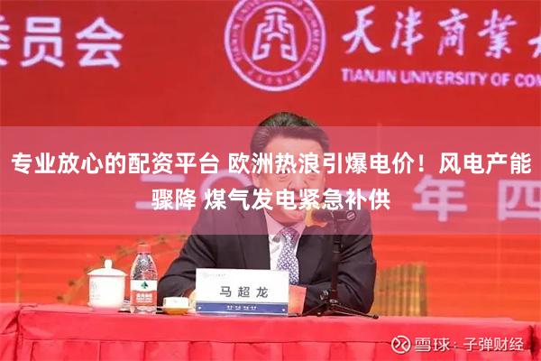 专业放心的配资平台 欧洲热浪引爆电价！风电产能骤降 煤气发电紧急补供