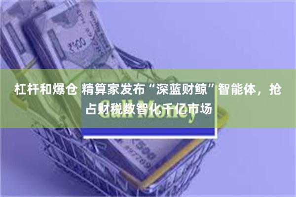 杠杆和爆仓 精算家发布“深蓝财鲸”智能体，抢占财税数智化千亿市场