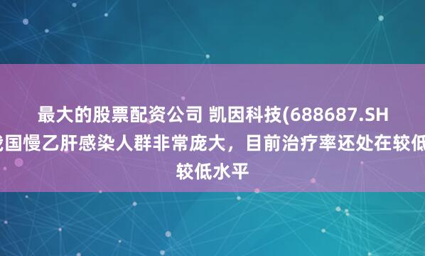 最大的股票配资公司 凯因科技(688687.SH)：我国慢乙肝感染人群非常庞大，目前治疗率还处在较低水平