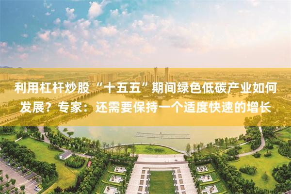 利用杠杆炒股 “十五五”期间绿色低碳产业如何发展？专家：还需要保持一个适度快速的增长