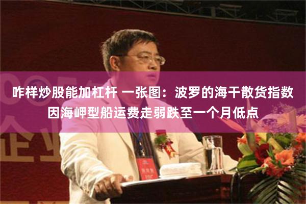 咋样炒股能加杠杆 一张图：波罗的海干散货指数因海岬型船运费走弱跌至一个月低点