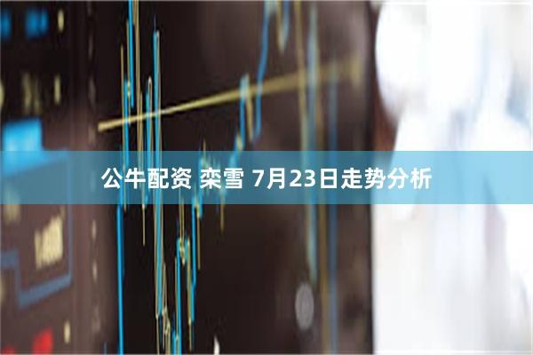 公牛配资 栾雪 7月23日走势分析