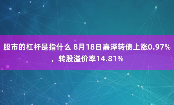 股市的杠杆是指什么 8月18日嘉泽转债上涨0.97%，转股溢价率14.81%