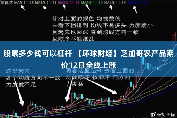 股票多少钱可以杠杆 【环球财经】芝加哥农产品期价12日全线上涨