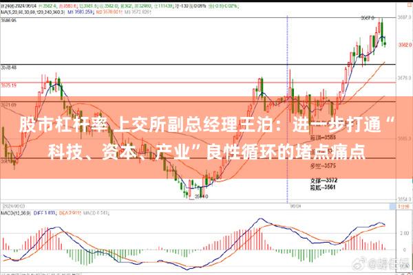 股市杠杆率 上交所副总经理王泊：进一步打通“科技、资本、产业”良性循环的堵点痛点