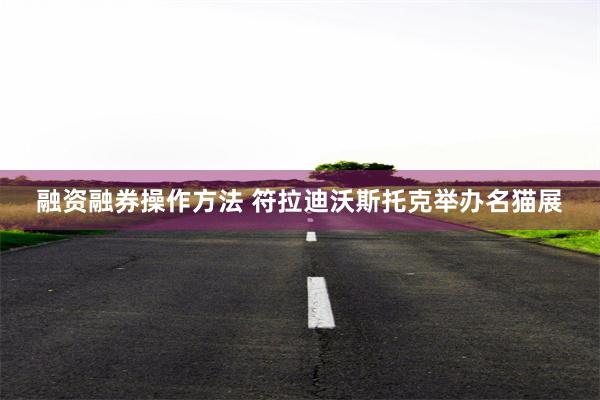 融资融券操作方法 符拉迪沃斯托克举办名猫展