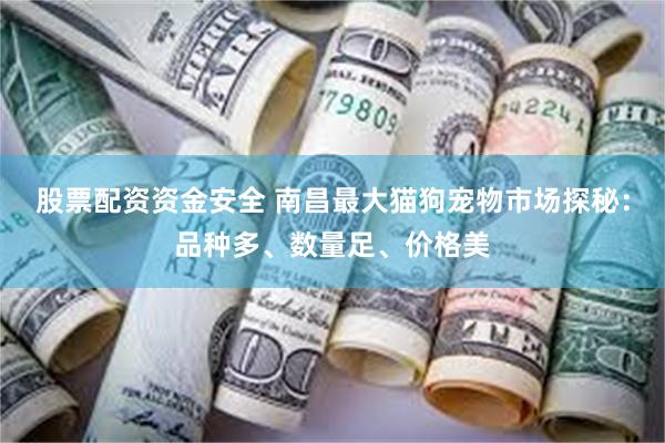 股票配资资金安全 南昌最大猫狗宠物市场探秘:品种多、数量足、价格美