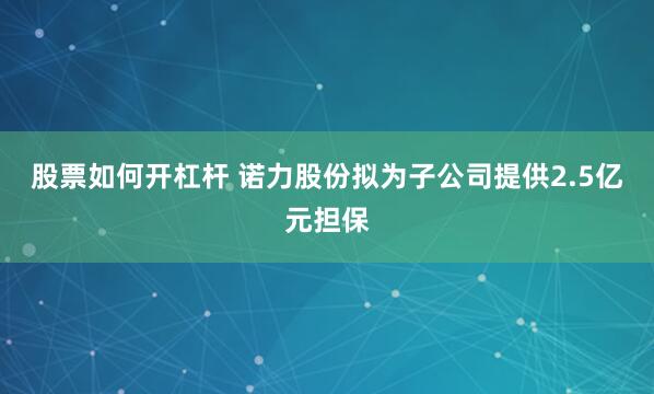 股票如何开杠杆 诺力股份拟为子公司提供2.5亿元担保